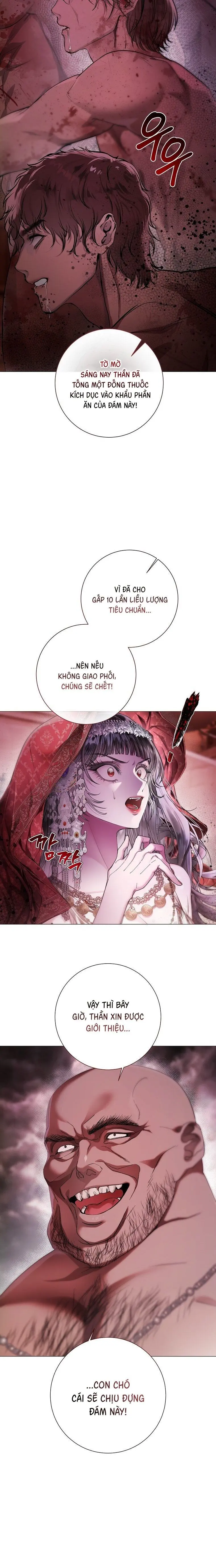 Cẩm Nang Dành Cho Merry Bad Ending Chap 18 - trang 21