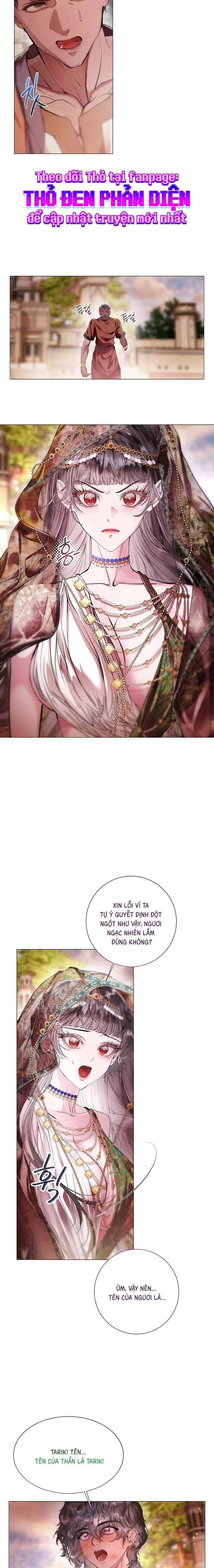 Cẩm Nang Dành Cho Merry Bad Ending Chap 22 - trang 24