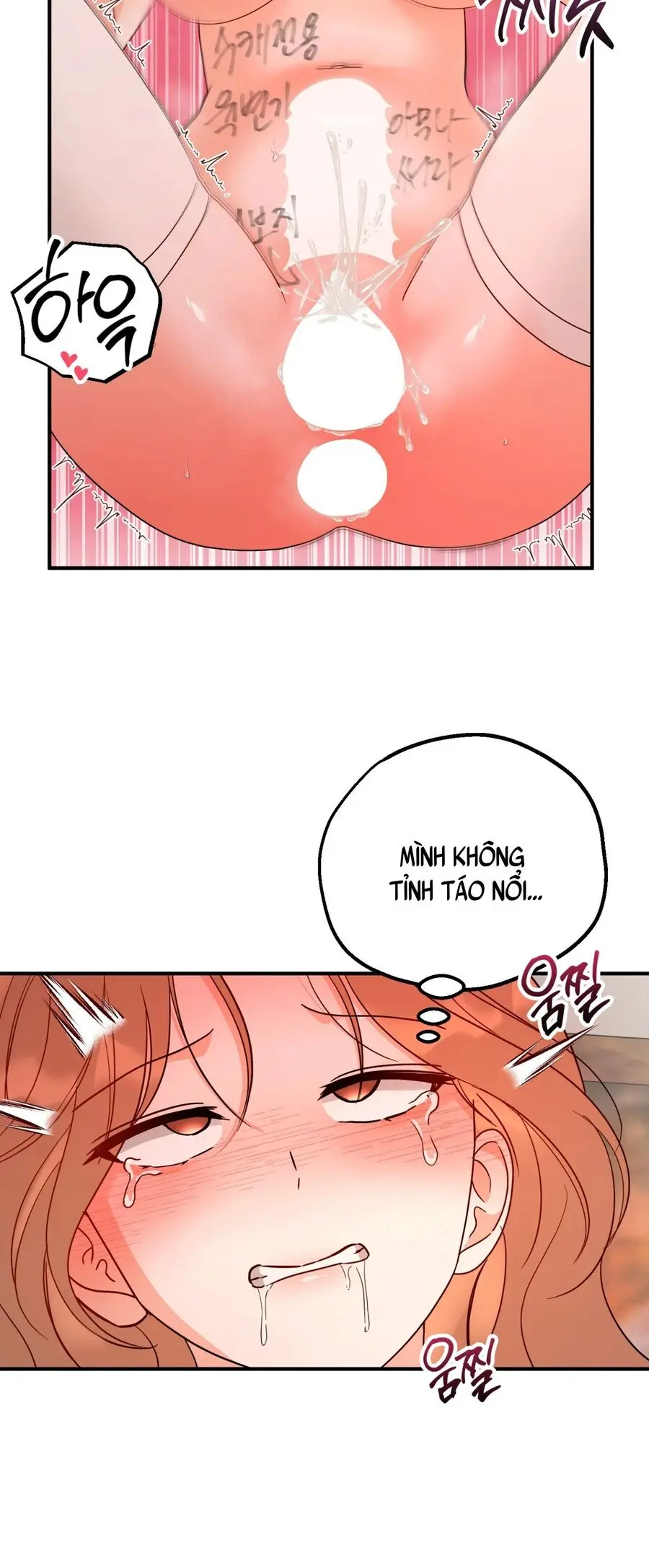 Hai Gương Mặt Của Huấn Luyện Viên Chap 16 - trang 16