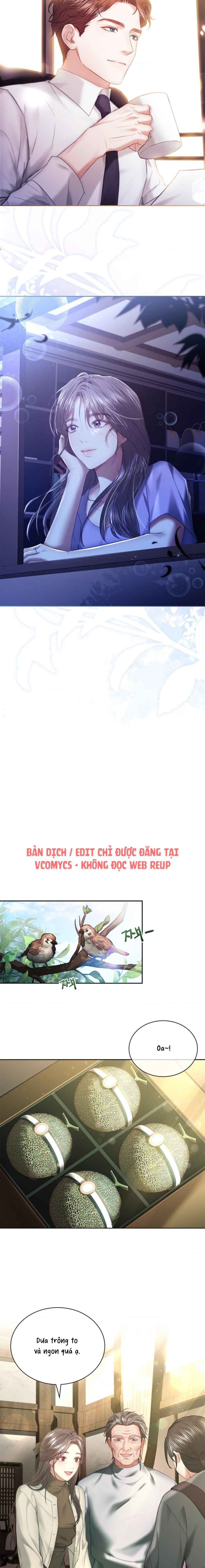 Người Vợ Trẻ Chap 15 - trang 12