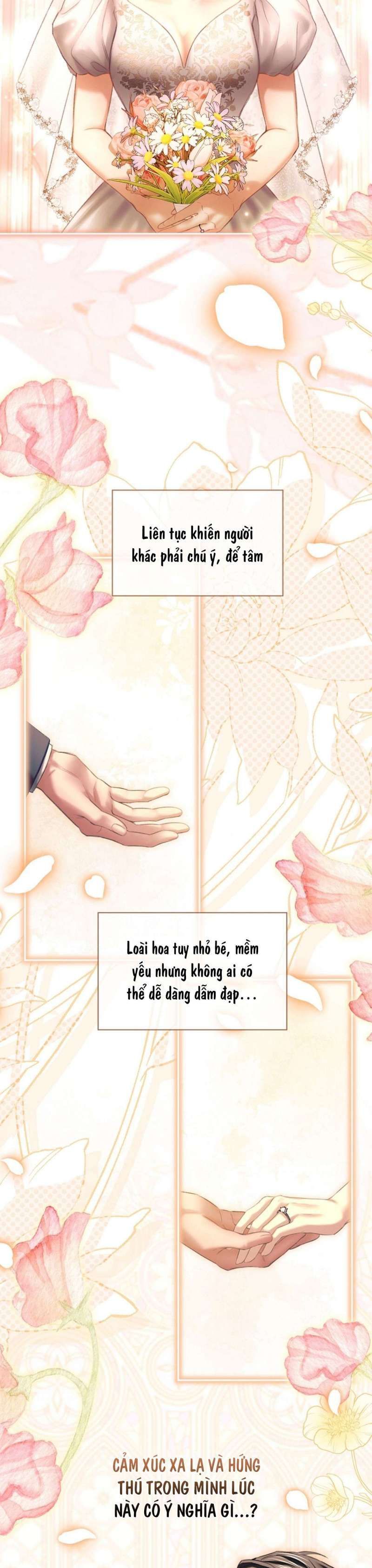 Người Vợ Trẻ Chap 21 - trang 15