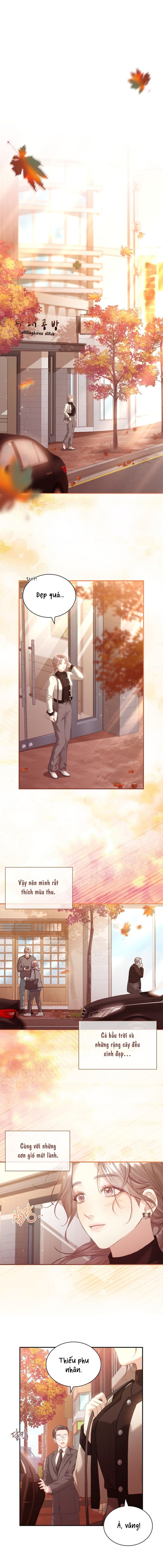 Người Vợ Trẻ Chap 23 - trang 5