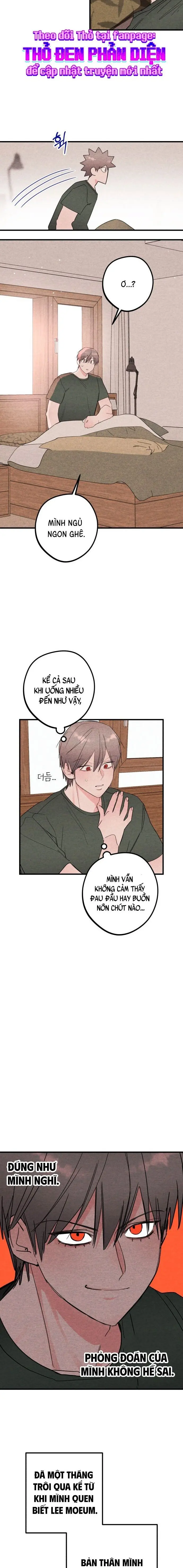 Bí Mật Của Tiền Bối Hoàn Hảo Chap 16 - trang 10