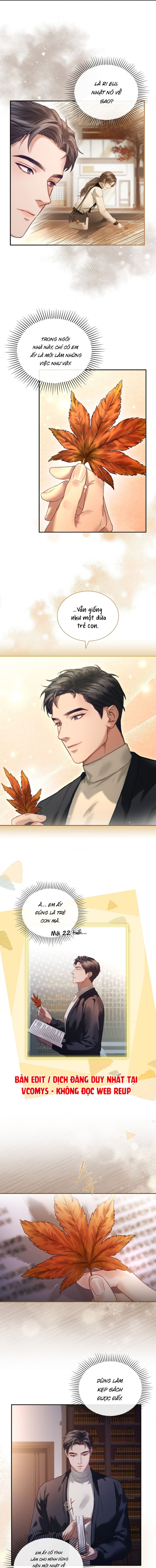 Người Vợ Trẻ Chap 23 - trang 9