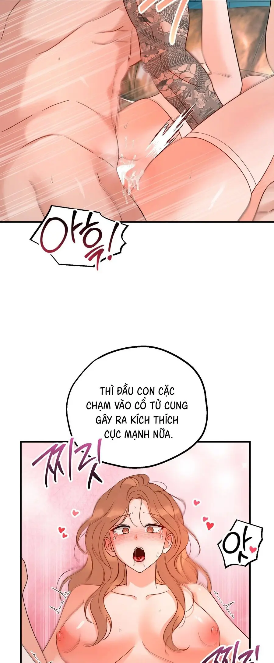 Hai Gương Mặt Của Huấn Luyện Viên Chap 16 - trang 15