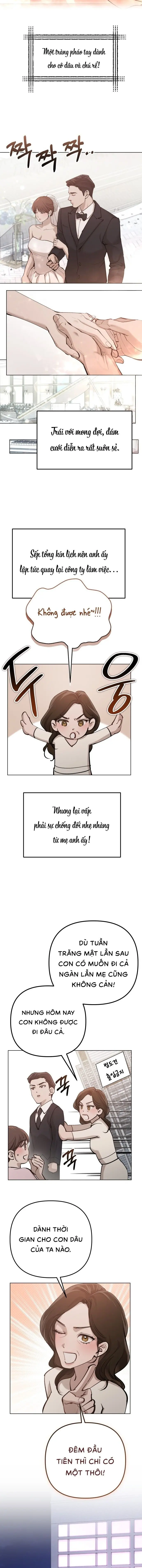 Người Vợ Trẻ Và Hành Vi Xấu Xa Chap 11 - trang 6