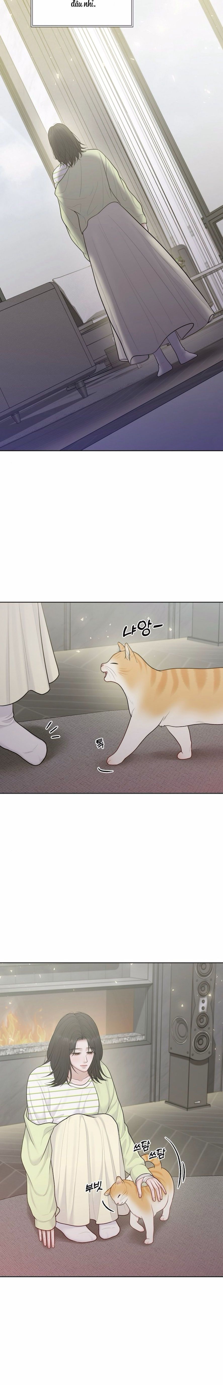 Mang Thai, Chiếm Đoạt Chap 19 - trang 19