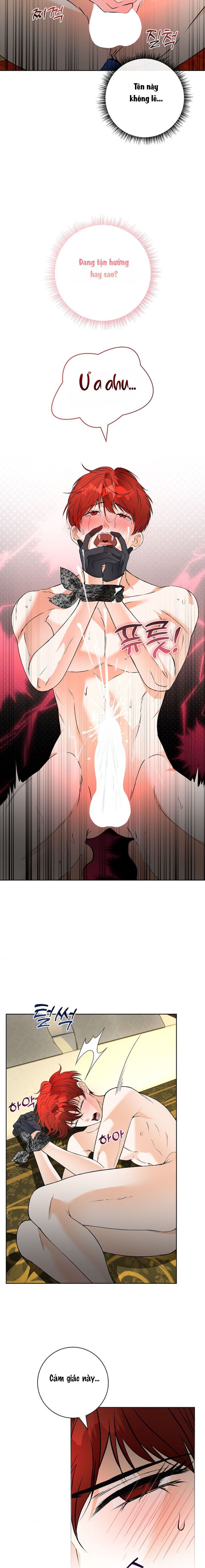 Cánh Hoa Ướt Đẫm Của Thánh Nữ Chap 13 - trang 5