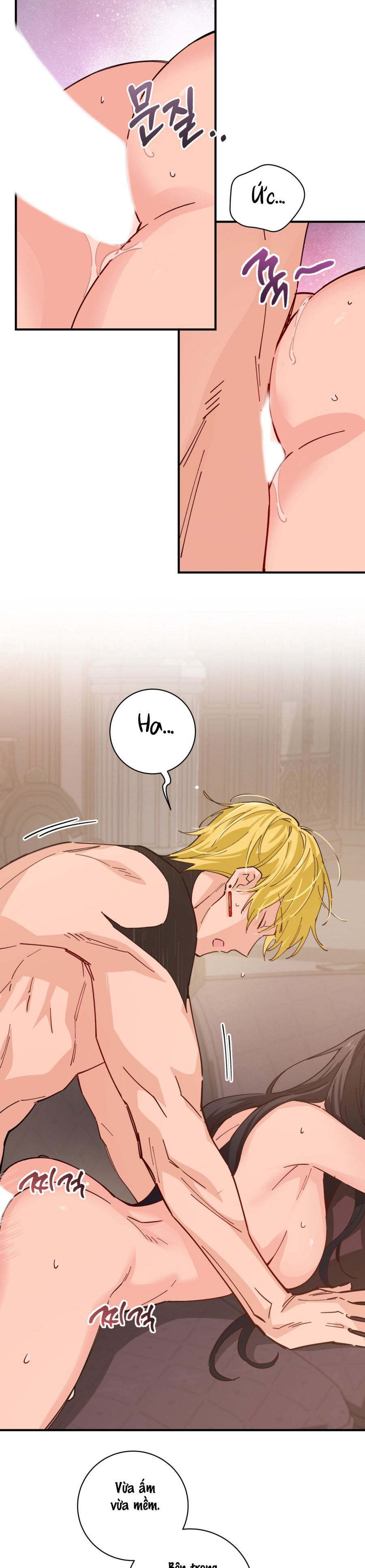Tiểu Thư Nuốt Phù Thủy Chap 10 - trang 33