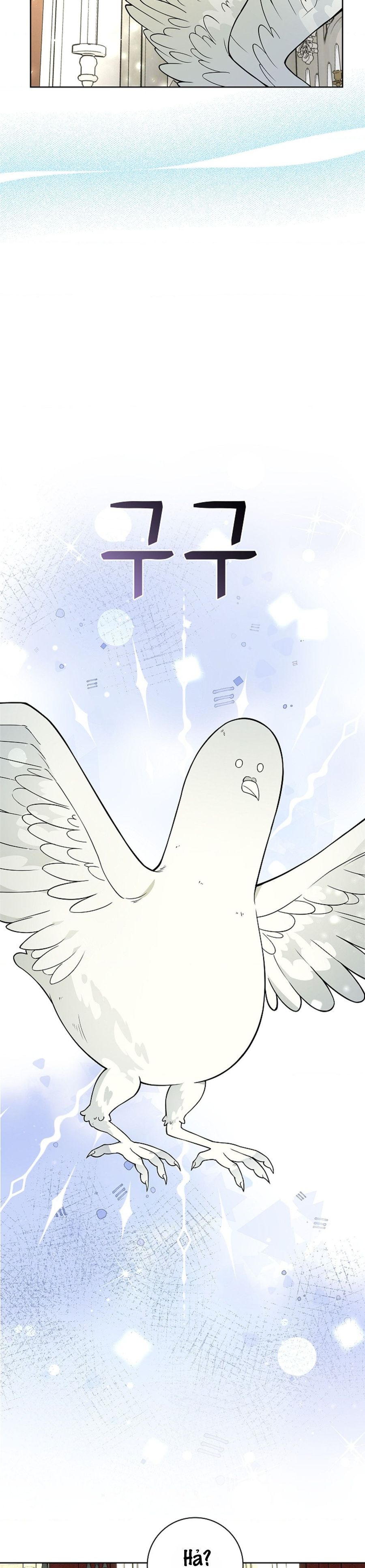 Cánh Hoa Ướt Đẫm Của Thánh Nữ Chap 11 - trang 15