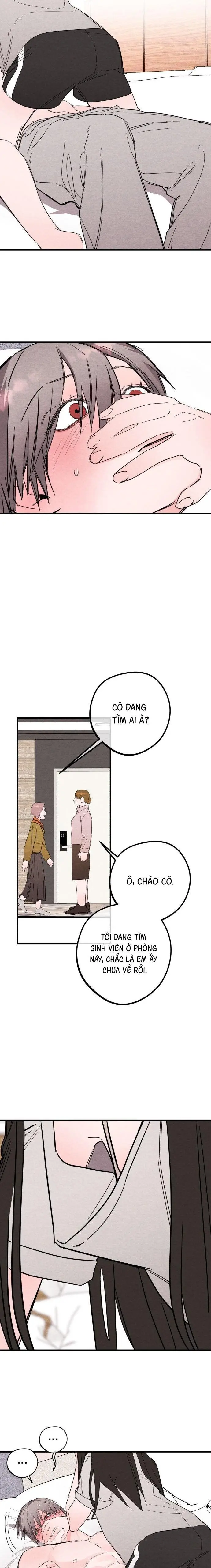 Bí Mật Của Tiền Bối Hoàn Hảo Chap 9 - trang 3