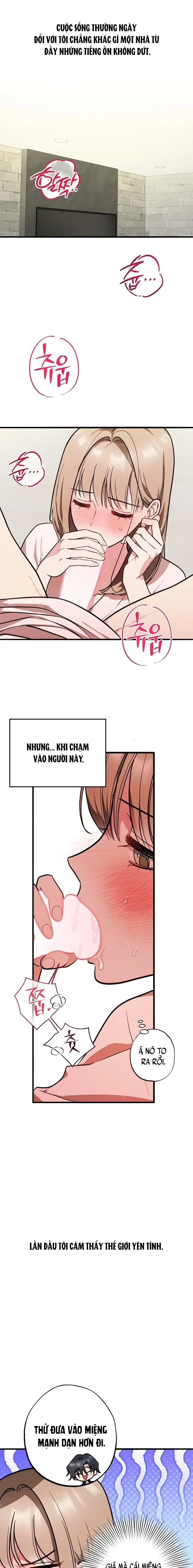 Nguy Hiểm Dịu Dàng Chap 2 - trang 2